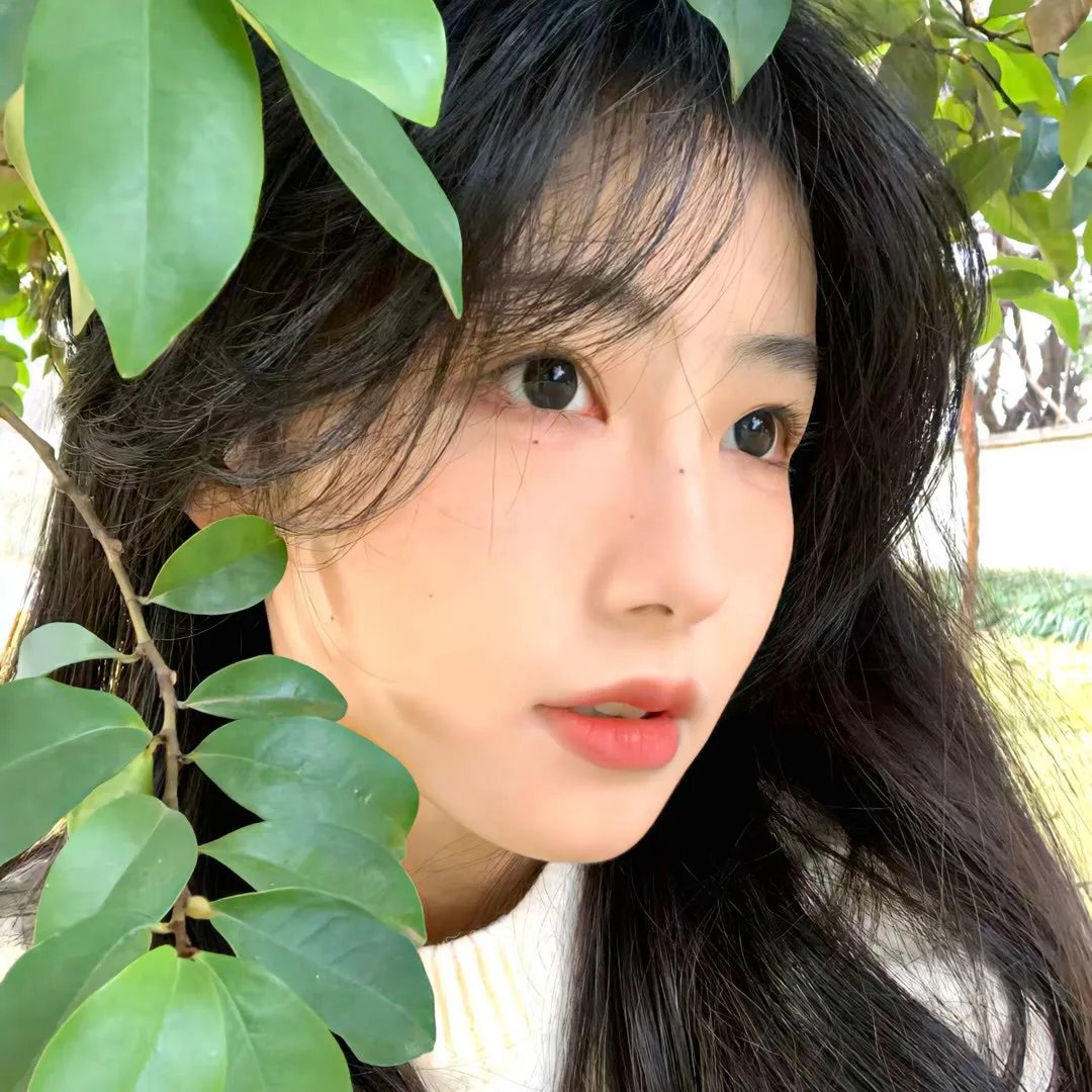 老笨